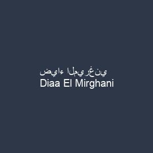 ضياء الميرغني