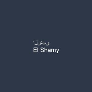 الشامي