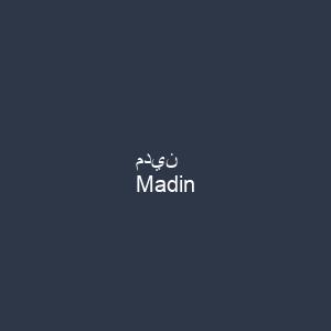 مدين