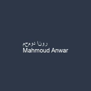 محمود انور