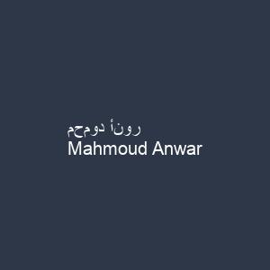 محمود أنور