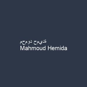 محمود حميدة