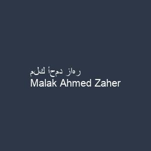 ملك أحمد زاهر