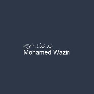 محمد وزيري