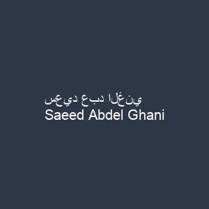 سعيد عبد الغني