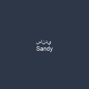 ساندي