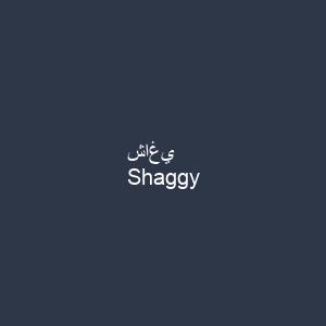 شاغي