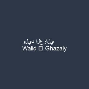 وليد الغزالي
